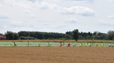 Fietszoektocht 2024