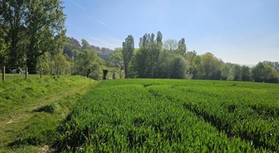 Oost Ronse Wandeldag