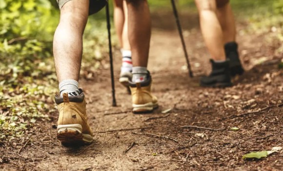 Wandelschoenen (1)