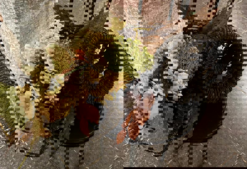 IMG 20250926 WA0028