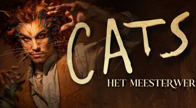 Cats Foto Rob Jacobs 1920X1080