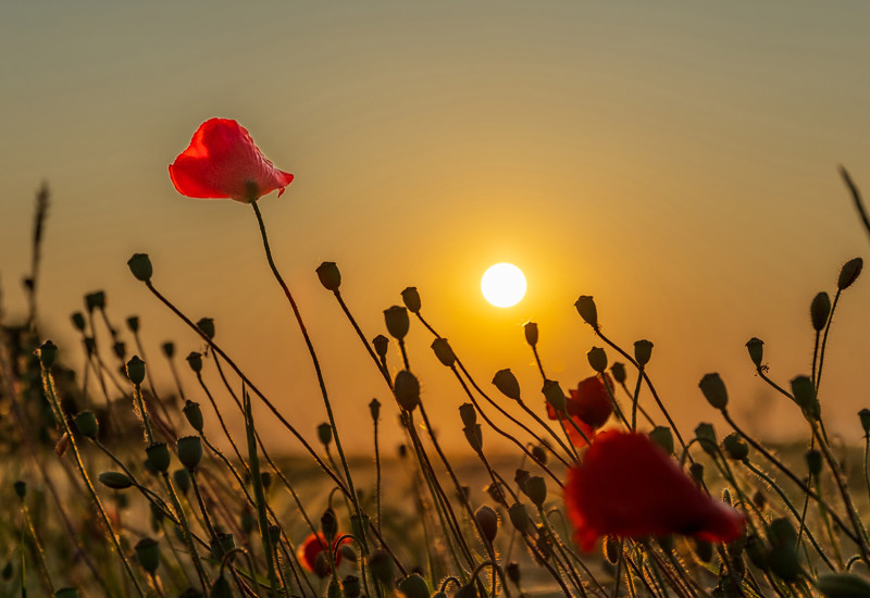 Zonsondergang